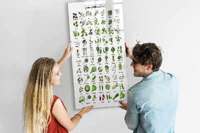 Magnetická tabuľa na kreslenie Zelená zelenina