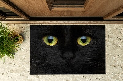 Rohožka pred dvere Kočičí oči