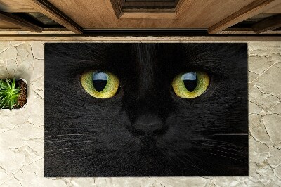 Rohožka pred dvere Kočičí oči