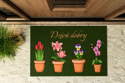 Vonkajšia rohožka pred dvere Rastliny v kvetináčoch