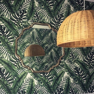 Fototapety – monstera